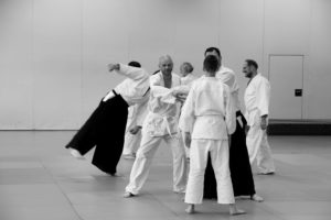 aikido 17